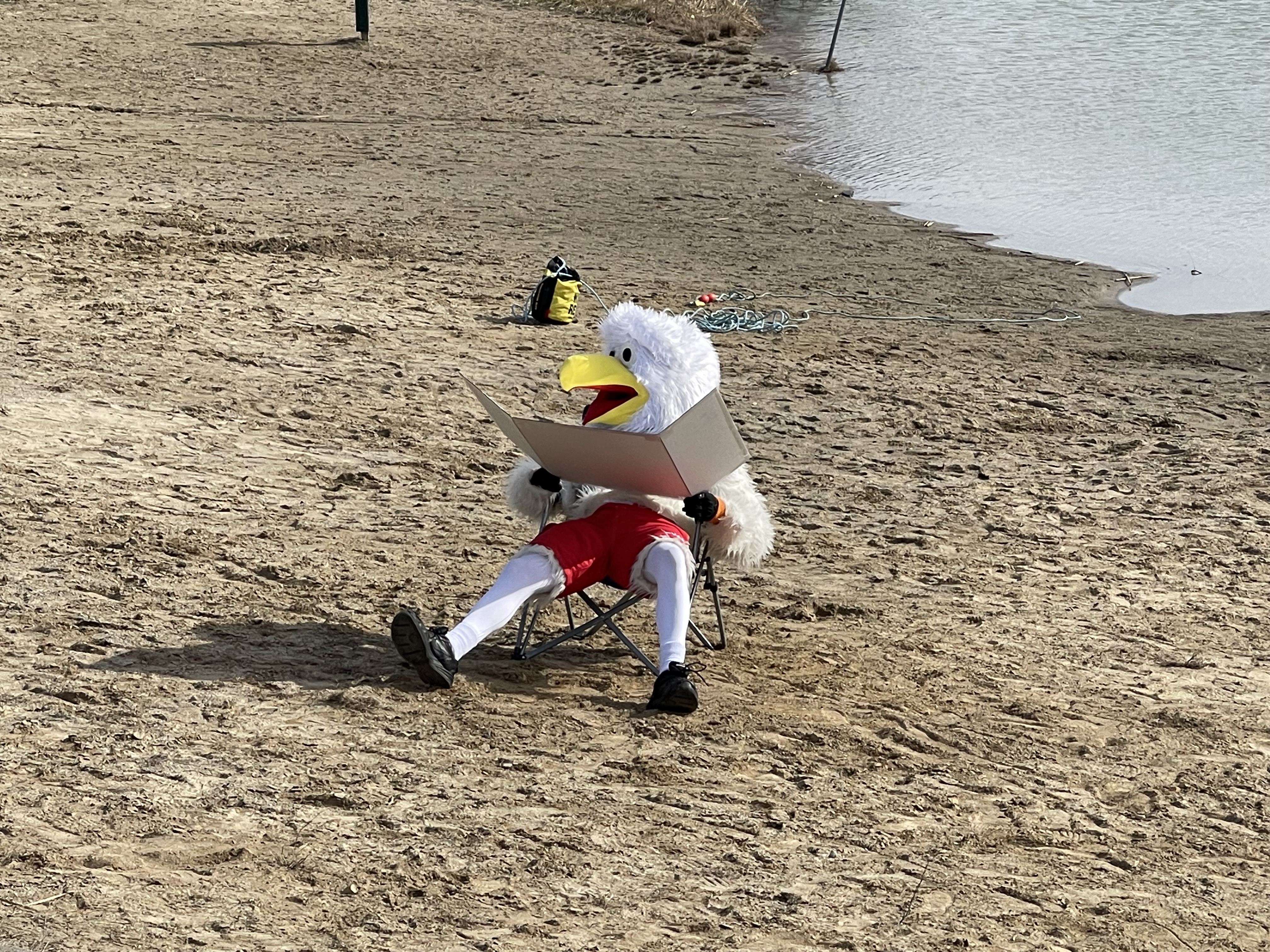 Polar Plunge - Frosty Fleet - 2024