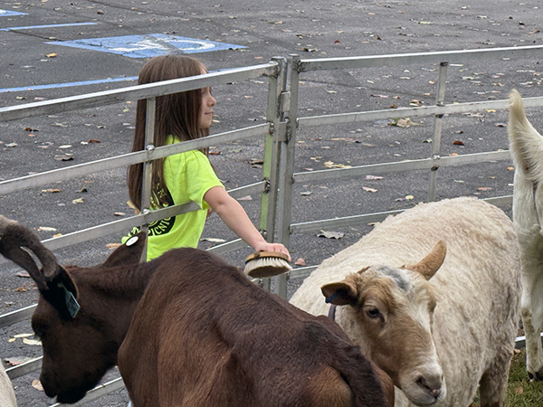 Buchanan’s Big Backyard Bash