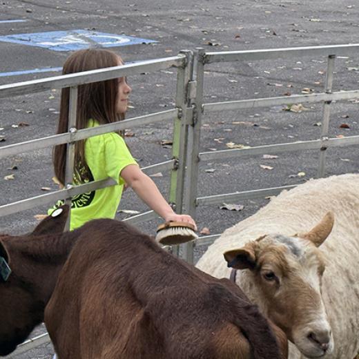 Buchanan’s Big Backyard Bash Buchanan’s Big Backyard Bash