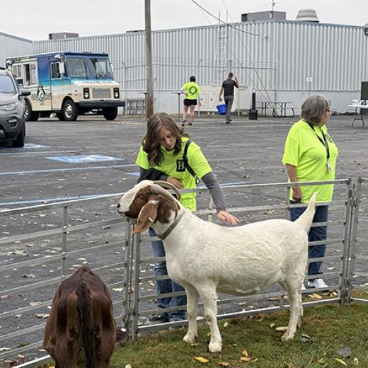 Buchanan’s Big Backyard Bash Buchanan’s Big Backyard Bash