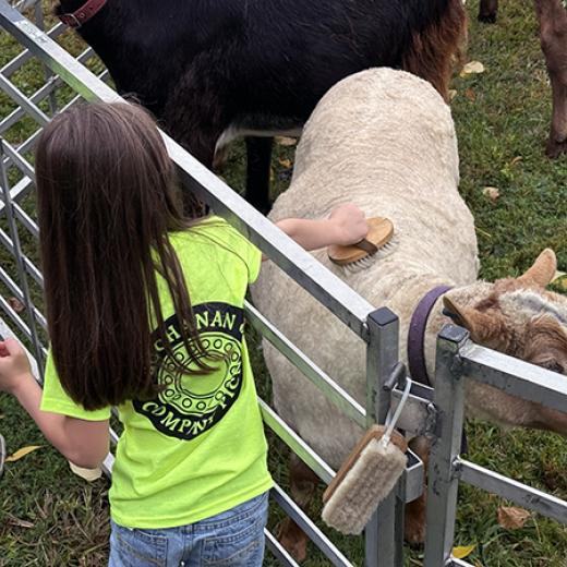 Buchanan’s Big Backyard Bash Buchanan’s Big Backyard Bash