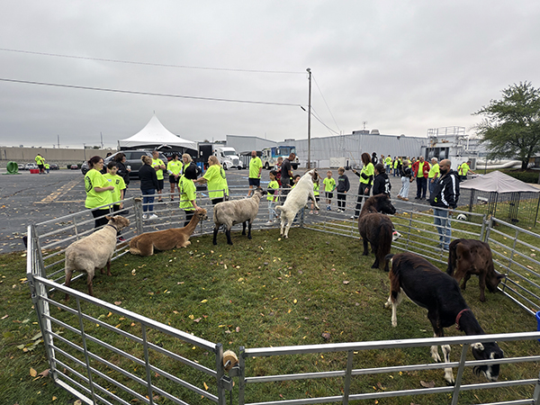 Buchanan’s Big Backyard Bash