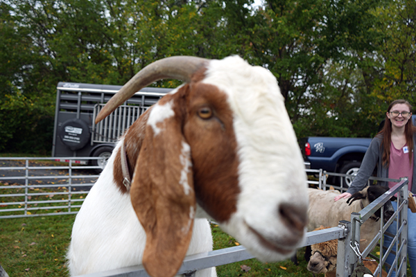 Buchanan’s Big Backyard Bash