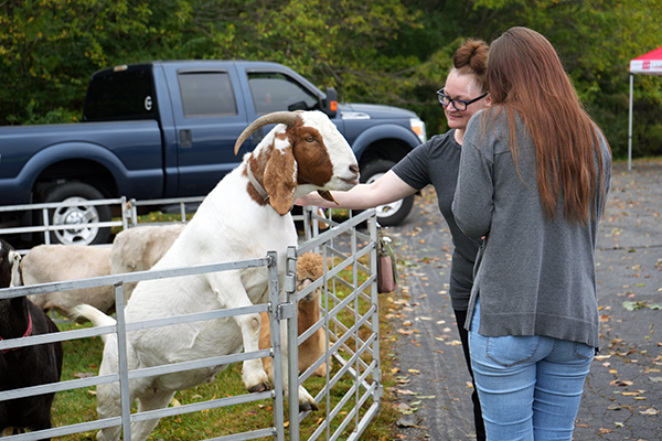 Buchanan’s Big Backyard Bash