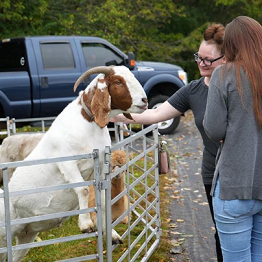 Buchanan’s Big Backyard Bash Buchanan’s Big Backyard Bash